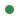 circ-green2.jpg