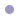 circ-purple.jpg